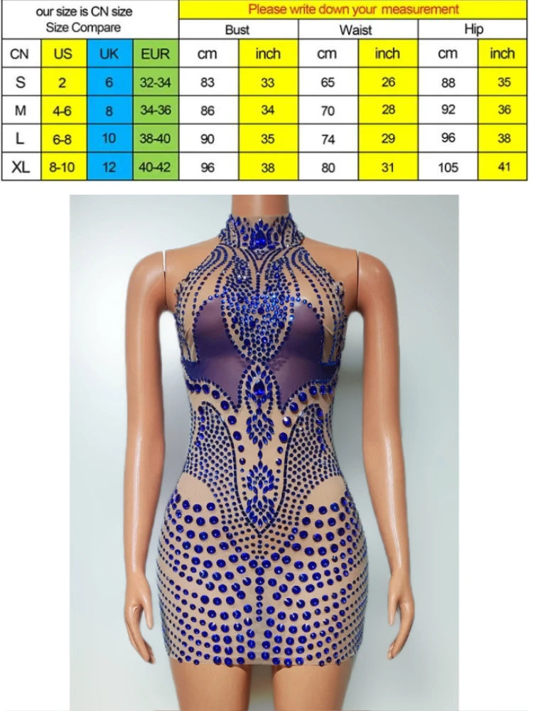 Sexy Mesh Mini Dress