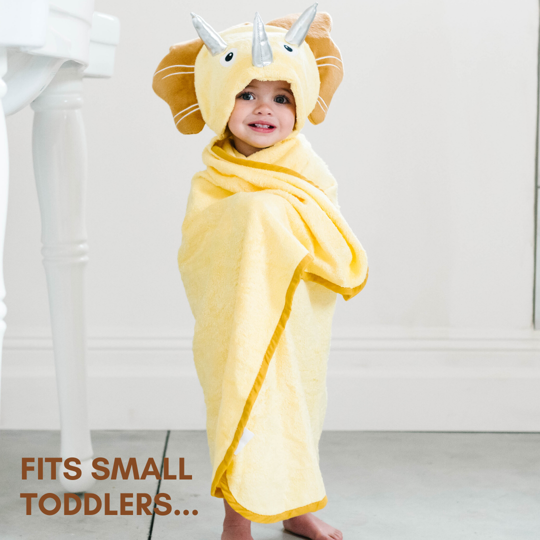 Toddler Hooded Towel